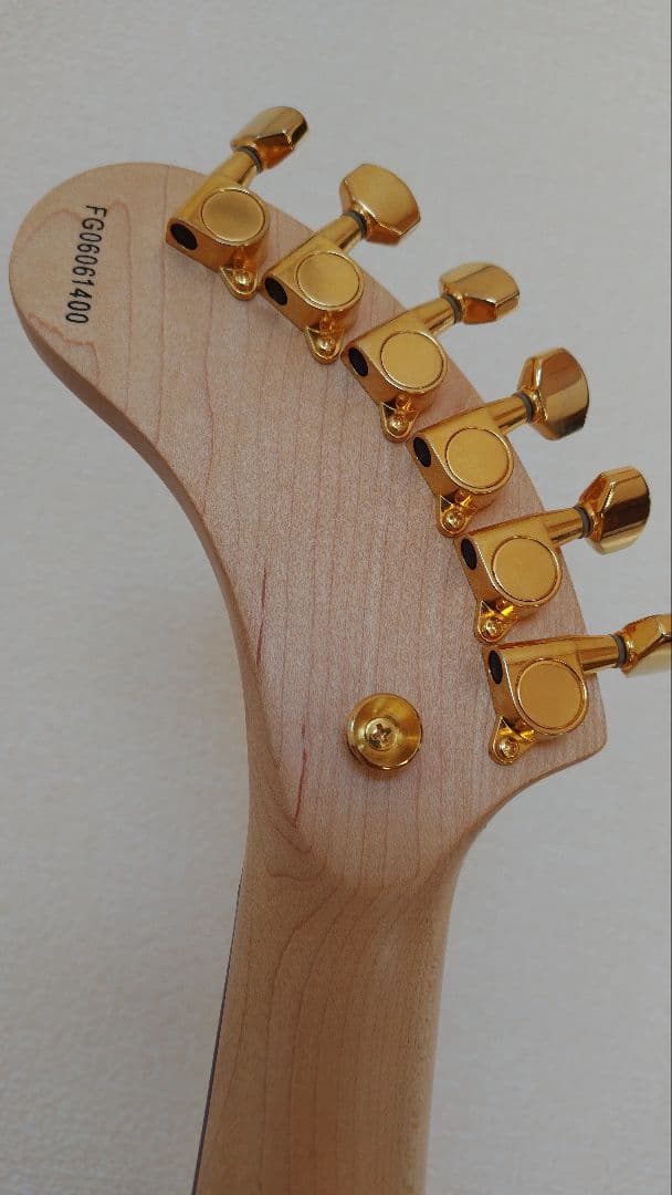 ギター FERNANDES DIGI-ZO HYPER