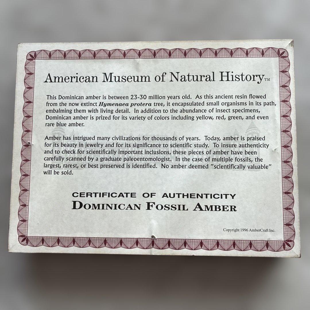 琥珀　ドミニカンアンバー 昆虫化石入り琥珀額