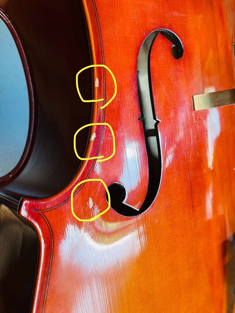 【未使用】Carlo Giordano cello チェロ2011年SC-90W