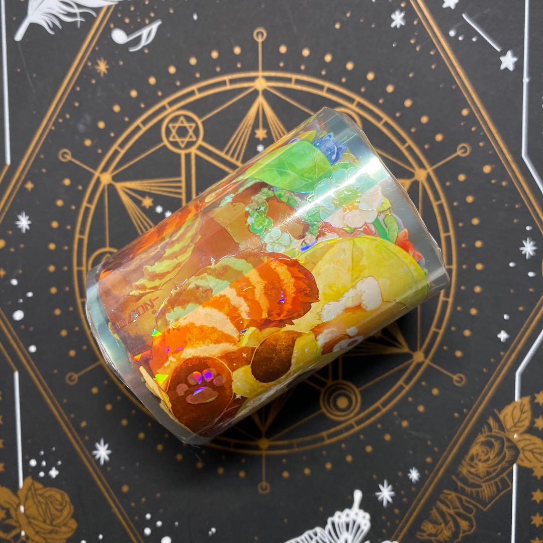 【C】海外　10m巻　貝殻光マスキングテープ　動物/お花/装飾/背景系