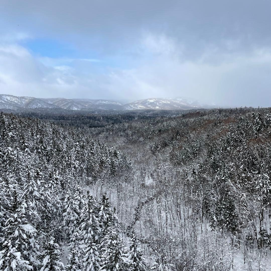 鹿ジャーキー犬用1.２キロ