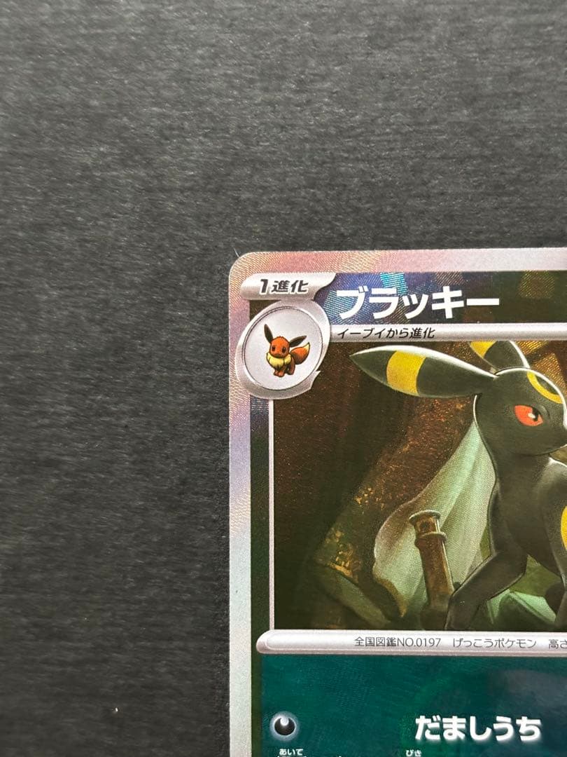 ブイズ　マスターボールミラー　コンプ　マスボ　9枚SET テラスタルフェスex