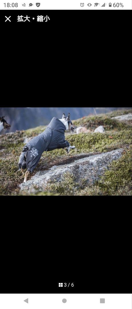 ▲フルッタ エクストリームオーバーオール グレー 30S