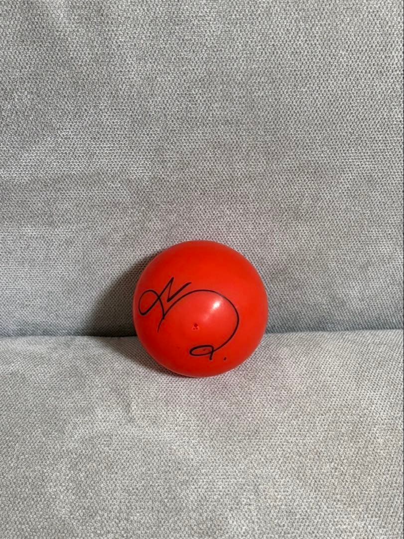 IVE レイ　サインボール