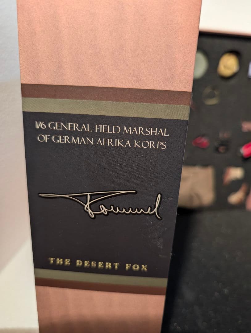 1/6 Desert　fox RONMEL