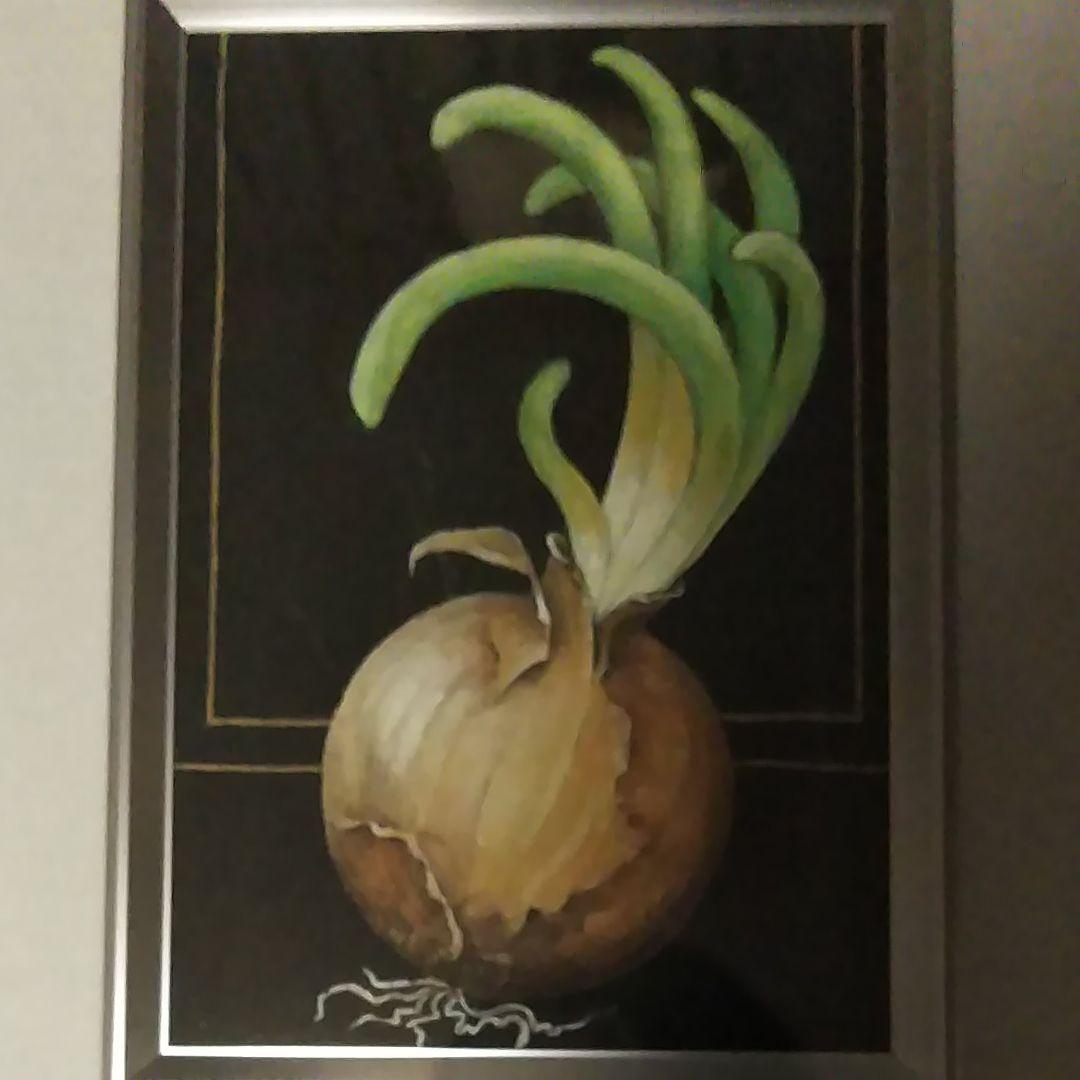 日本画(19)　玉ねぎ2