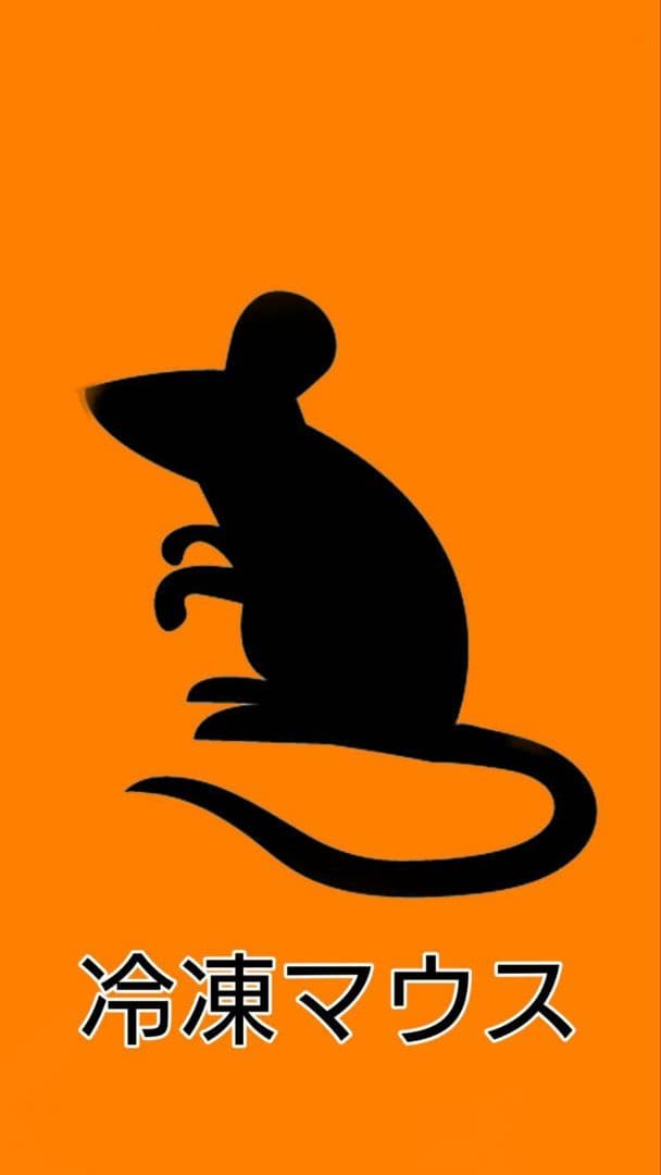 在庫処分！自家繁殖冷凍マウス　M～Lサイズ　22g～90匹セットおまけ付