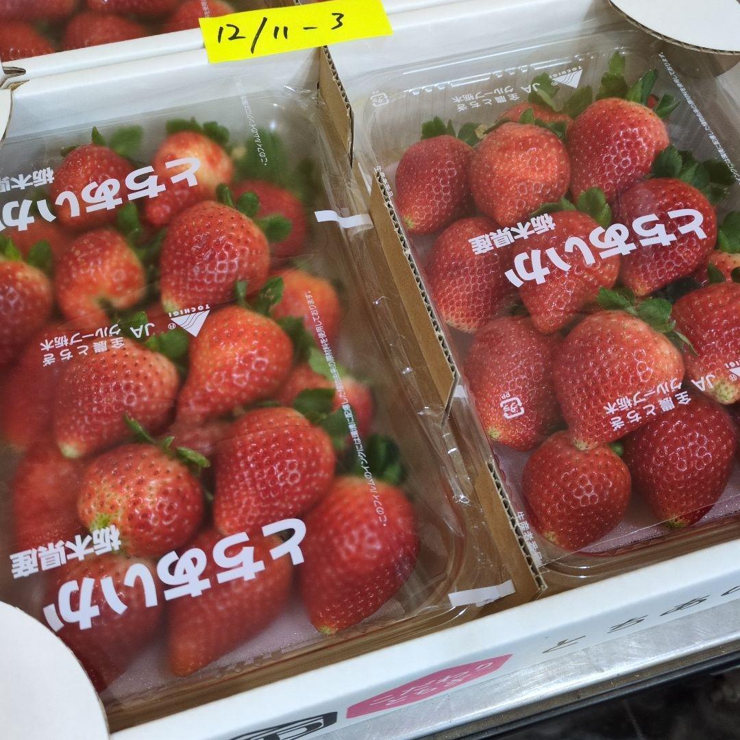 けん様 栃木県産いちご　とちあいか　規格外1.4kgx8箱