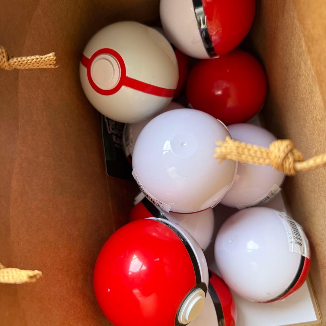 ポケパーク ピンバッジ 未開封10個 プレミアボール付き