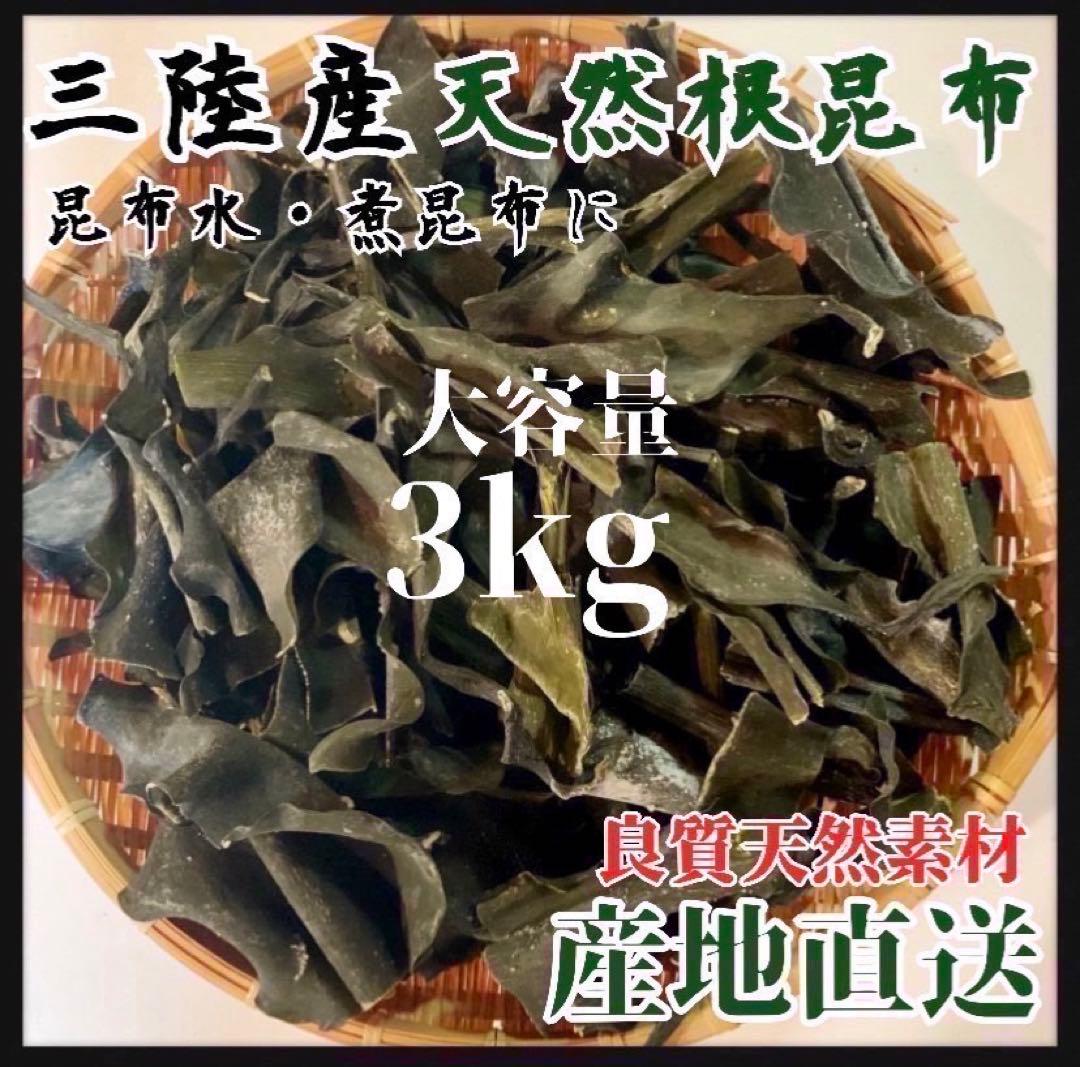 お買い得！　【岩手県産】乾燥根昆布　3kg 粘り強い　昆布茶　希少部位　特別な味