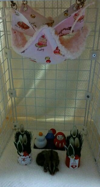 モモンガハウス(スイーツ柄Ver.2） ボアピンク 2000円