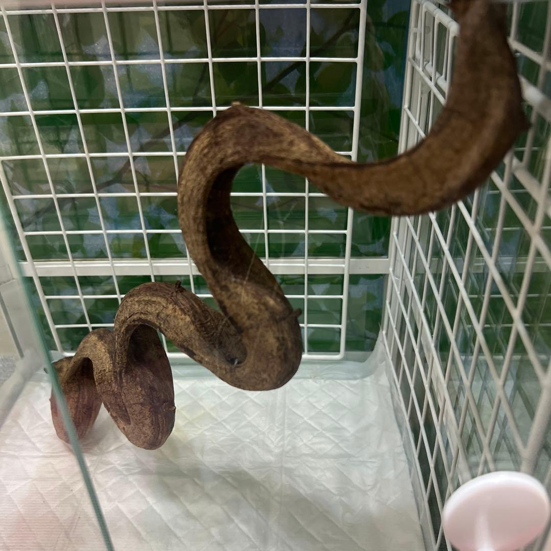 ♡sniper様♡専用♡