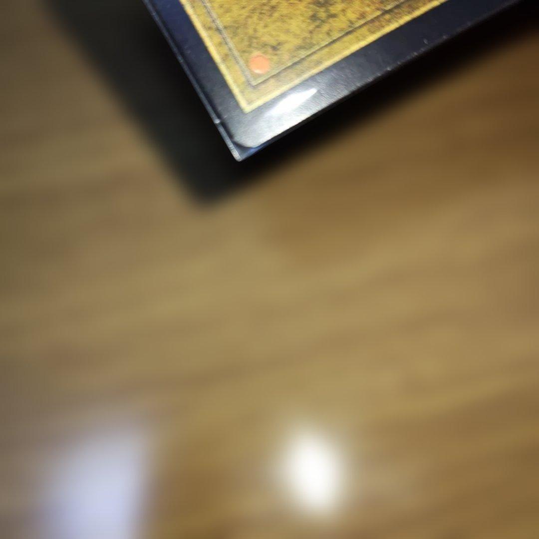 フェアリーの忌み者　日本語　foil