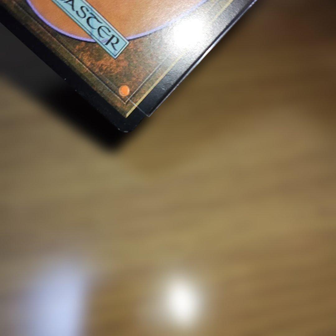 フェアリーの忌み者　日本語　foil