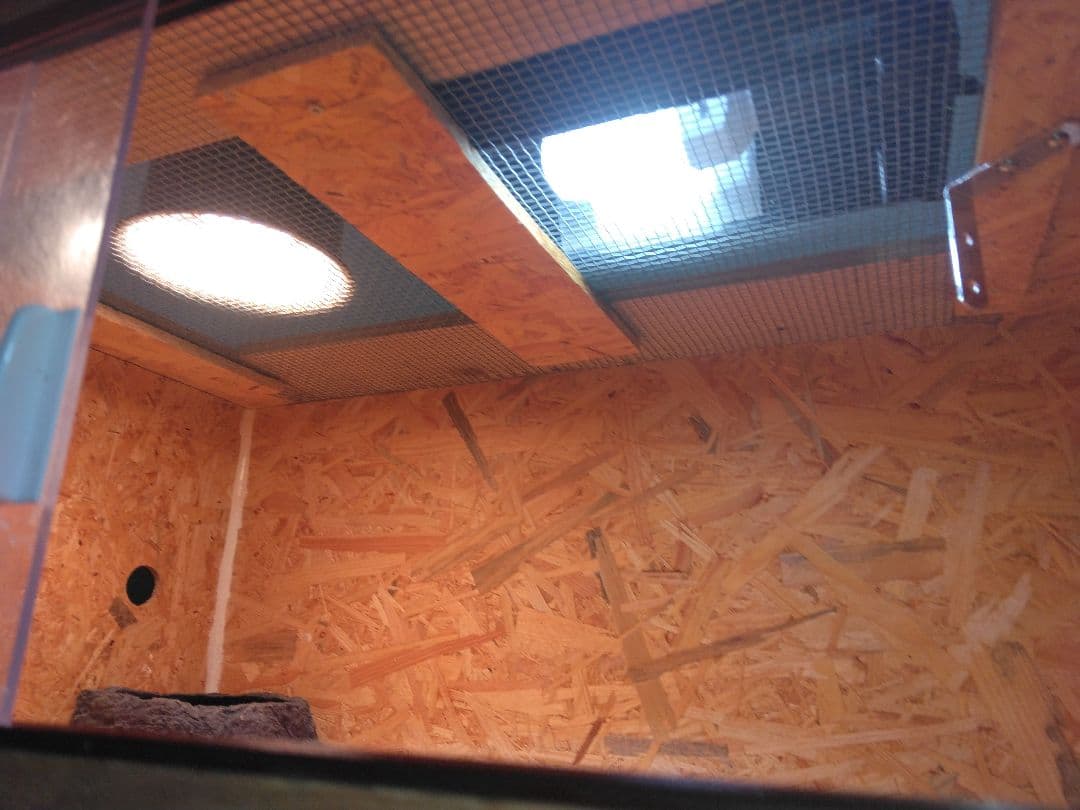 自作爬虫類ケージお得なセット！