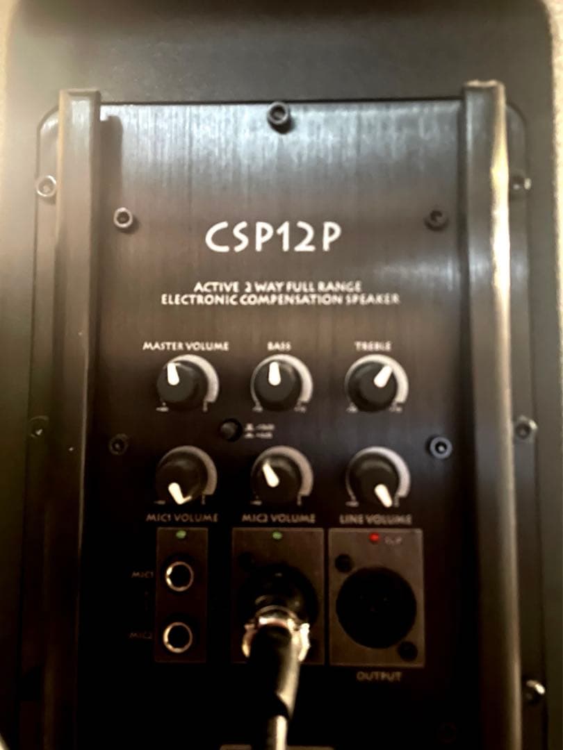 Classic Pro CSP12P 2本セット（スタンド付き）