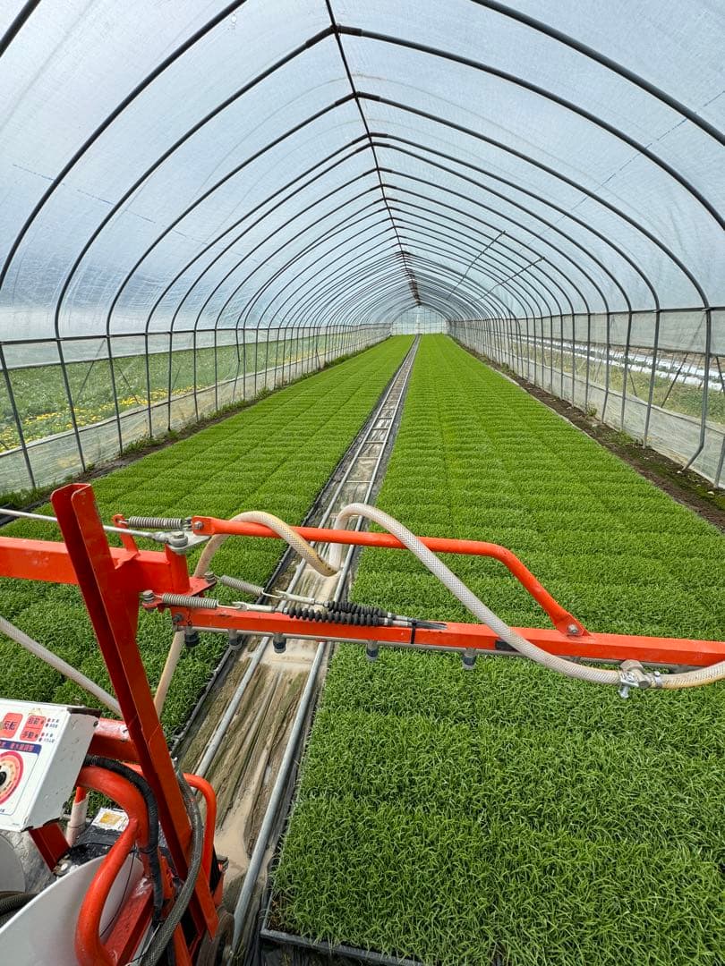 新米＊玄米＊ななつぼし＊農家直送＊北海道産＊美味しいお米