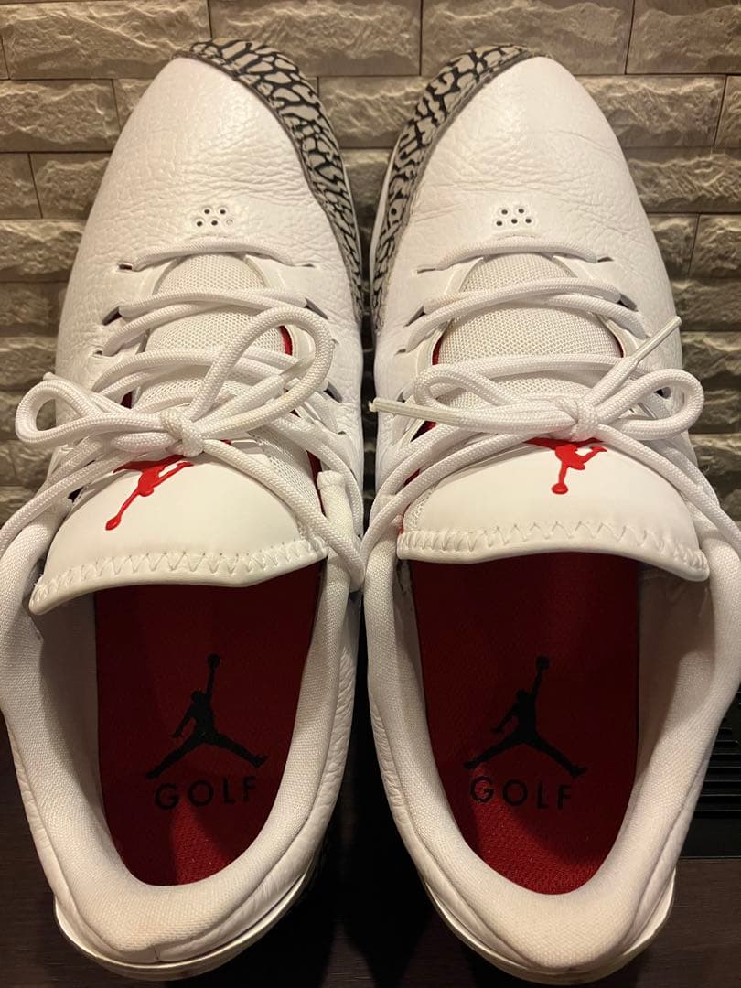 シューズ(男性用) NIKE JORDAN ADG AR7995 100