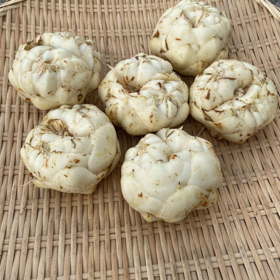 aoi_soranomukou出品