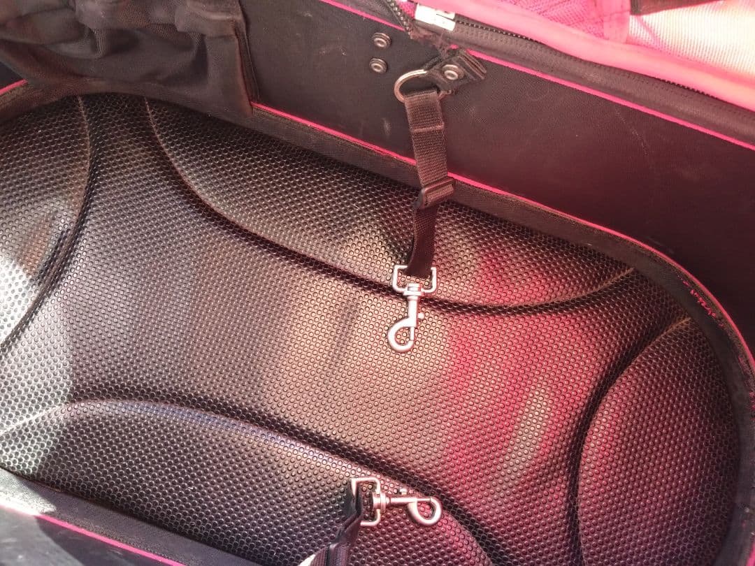 AirBuggy　エアバギー　DOME1？　ラージ？　神奈川　引取限定