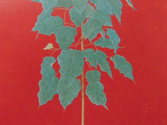 畠中光享、【仏のイメージ（菩提樹）】、希少な額装用画集より