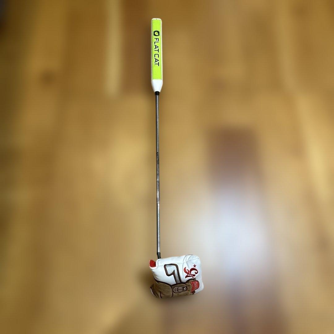 テーラーメイドのスパイダー EX ゴーストホワイトパター33インチ美品！