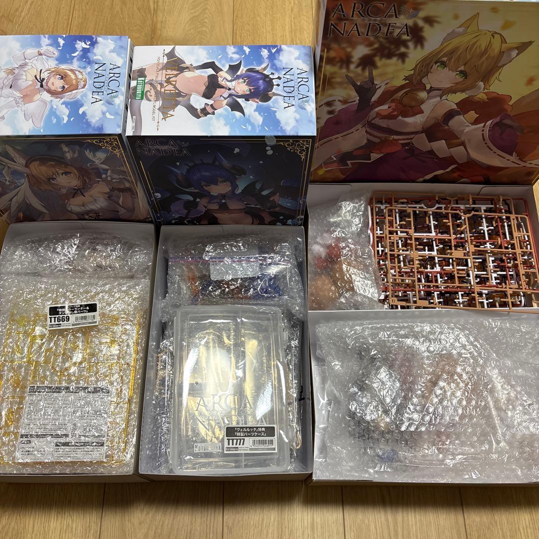 アルカナディア(ルミティア、ヴェルルッタ、ユクモ)特典付 組み立て済み ジャンク