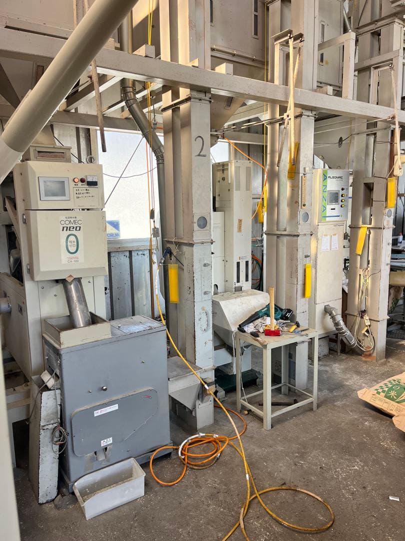 栃木県産こしひかり