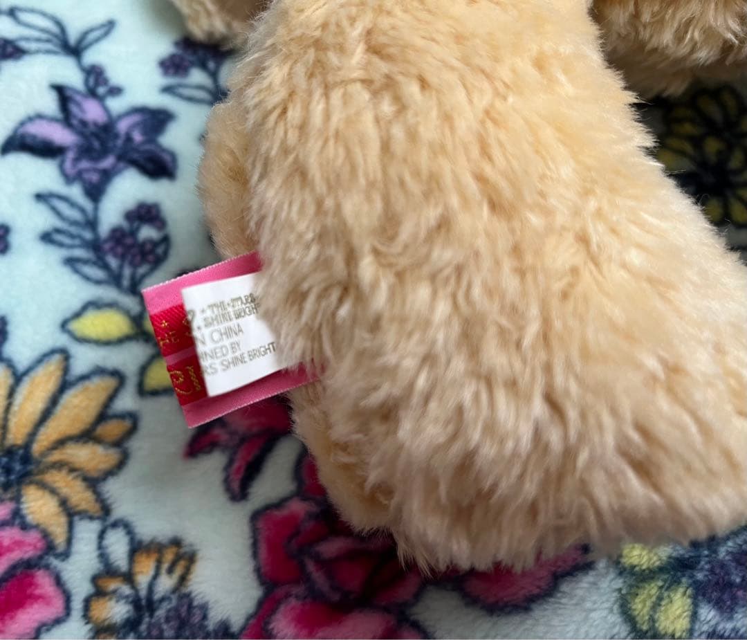 くまくみゃ　ぬいぐるみ　BABY, THE STARS SHINE BRIGHT