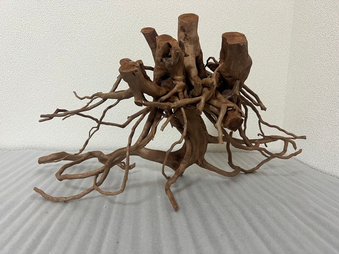 32613 ブランチウッド　流木　アクアリウム