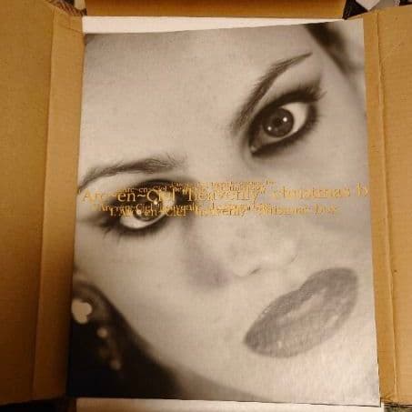 初期ラルクアンシエルCD付き写真集