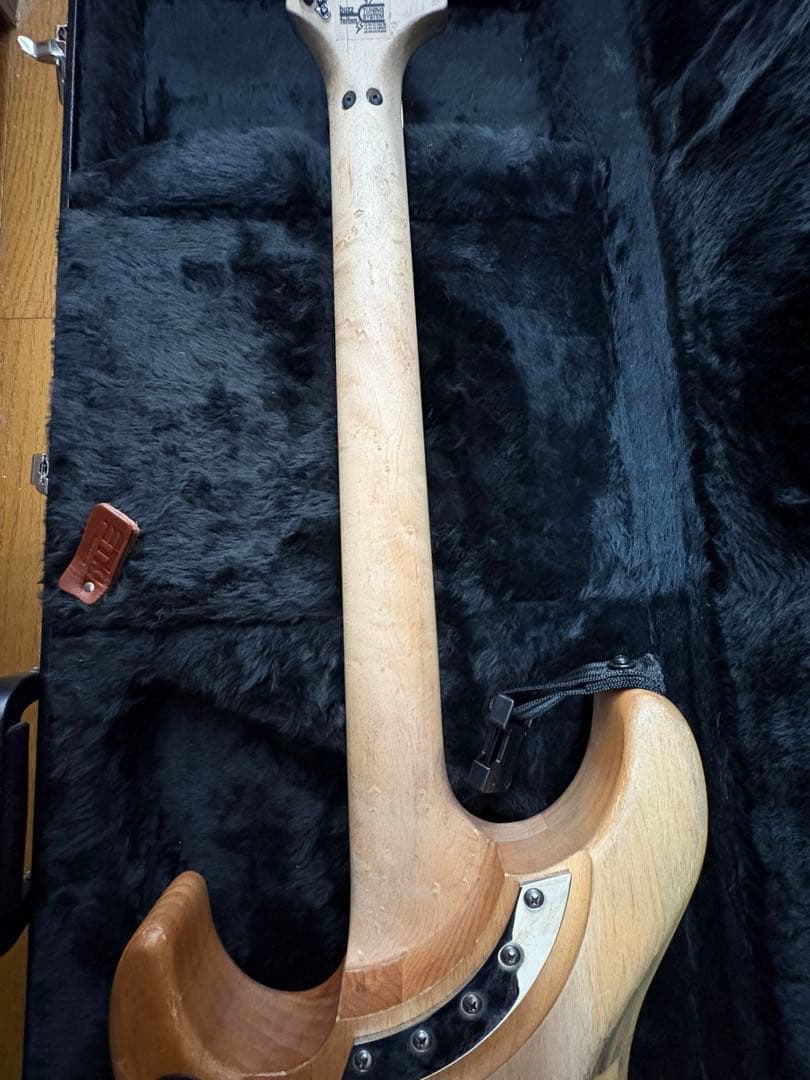 極美品 Washburn N4 Authentic ClipLock付き本人仕様