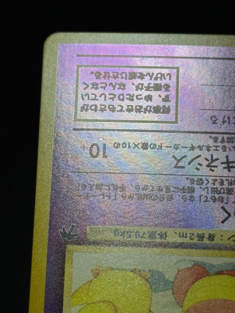 ヤドキング 旧裏 映画公開記念パック サザンアイランド