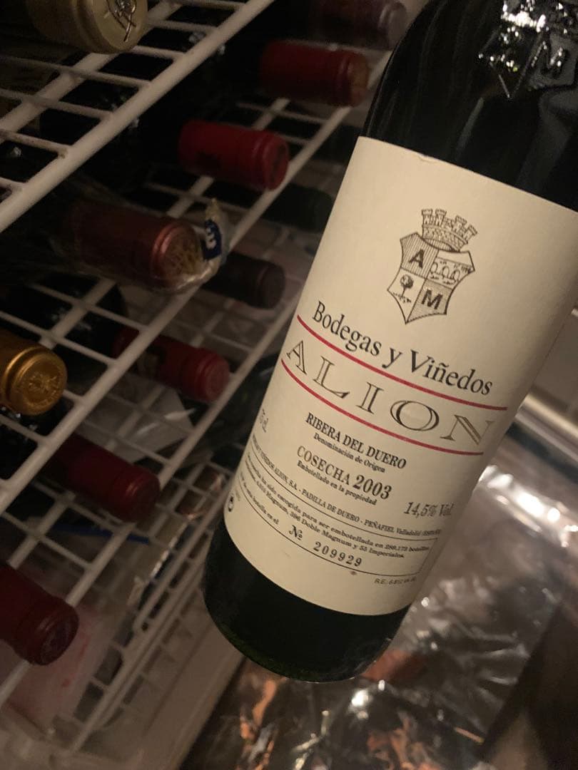 ボデガス イ ビニェドス アリオン 2003