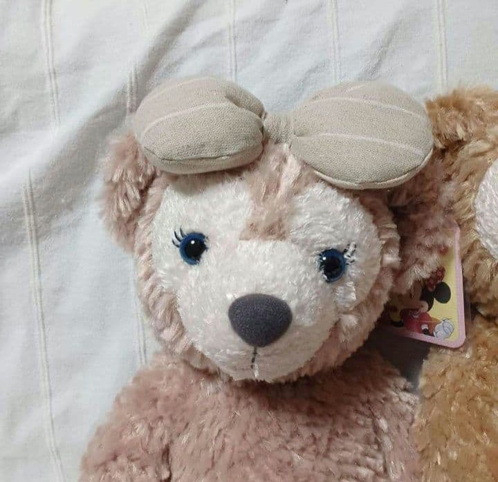 【新品】TDS ダッフィー & シェリーメイ ぬいぐるみ Sサイズ セット