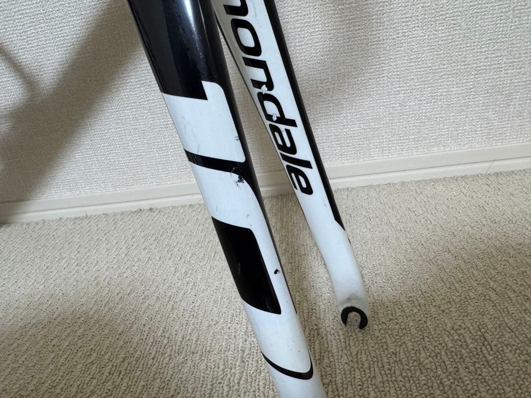 キャノンデール　CAAD10 キャド10 フレームセット　おまけ多数