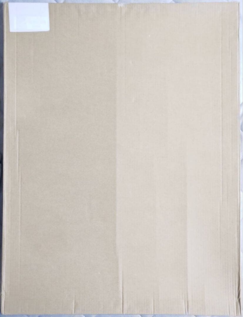 Underwearsの世界 きみしま青 複製原画 Girly Dream