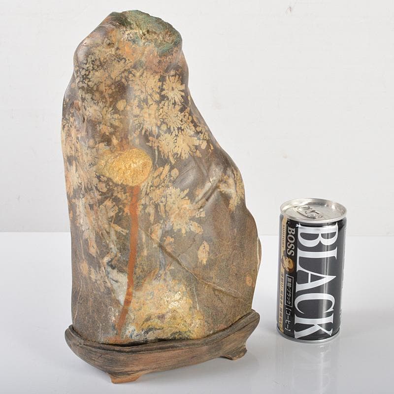 天然石　鑑賞石　菊花石　置物　重さ約3.5kg　唐木台付　V　R6416