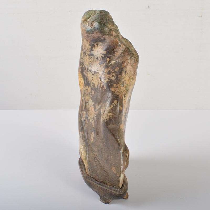 天然石　鑑賞石　菊花石　置物　重さ約3.5kg　唐木台付　V　R6416