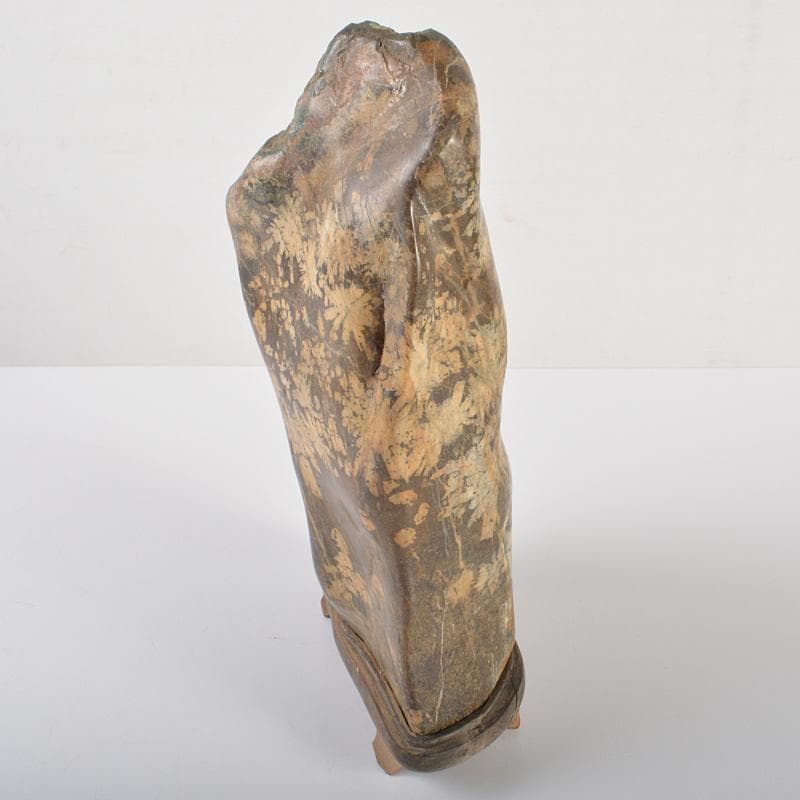 天然石　鑑賞石　菊花石　置物　重さ約3.5kg　唐木台付　V　R6416