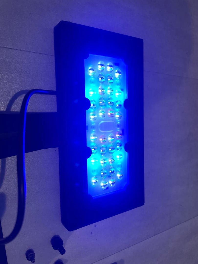 ZOOX OPTIMASリーフナノ2