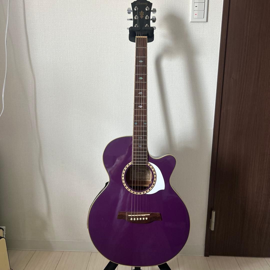 ギター Ibanez AEG8E