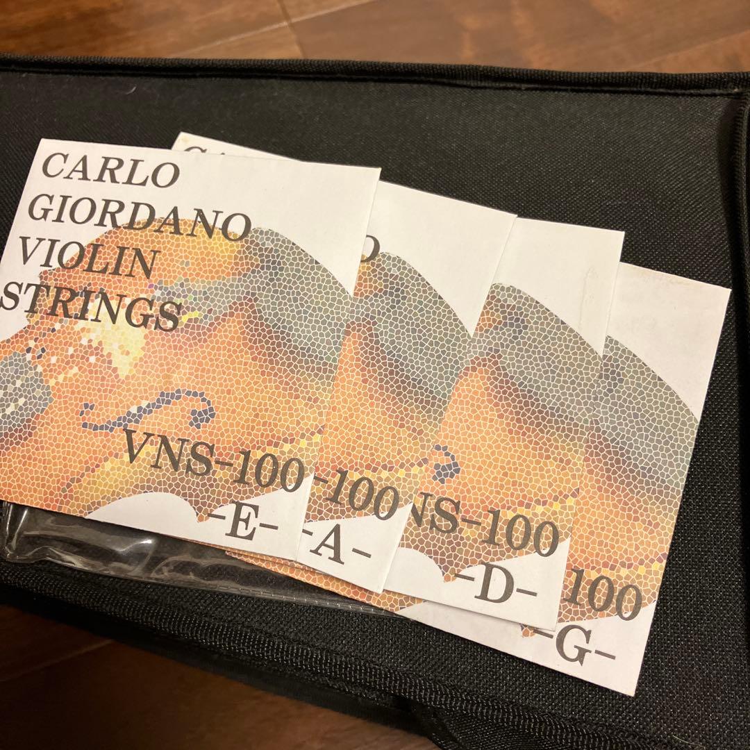 Bananaカルロジョルダーノ　エレキバイオリンクロサワバイオリン