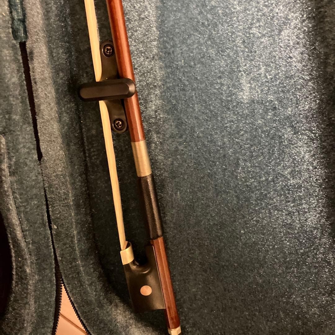 Bananaカルロジョルダーノ　エレキバイオリンクロサワバイオリン