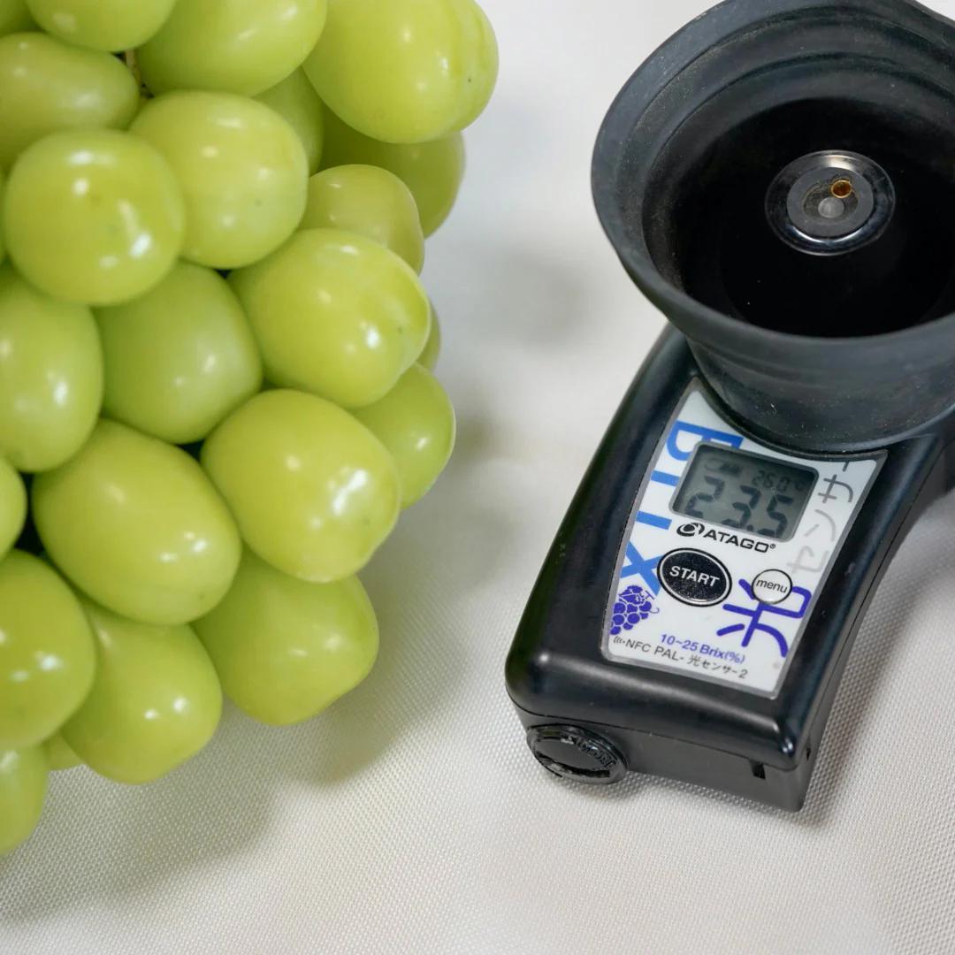 【岡山県産】 5kg 甘い高級シャインマスカット! 大粒 7〜10房