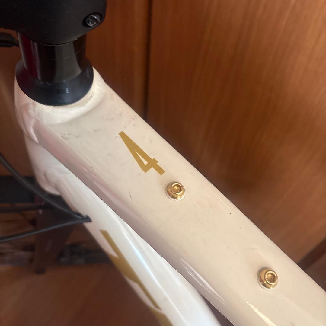 Trek ロードバイクDOMANE AL4 （サイズ:54）