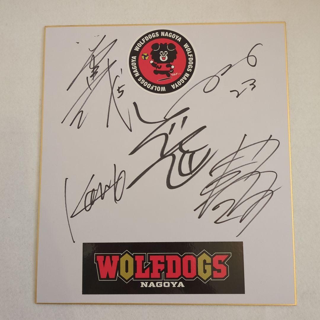 【激レア】ウルフドッグス名古屋　バレーボール選手　サイン色紙