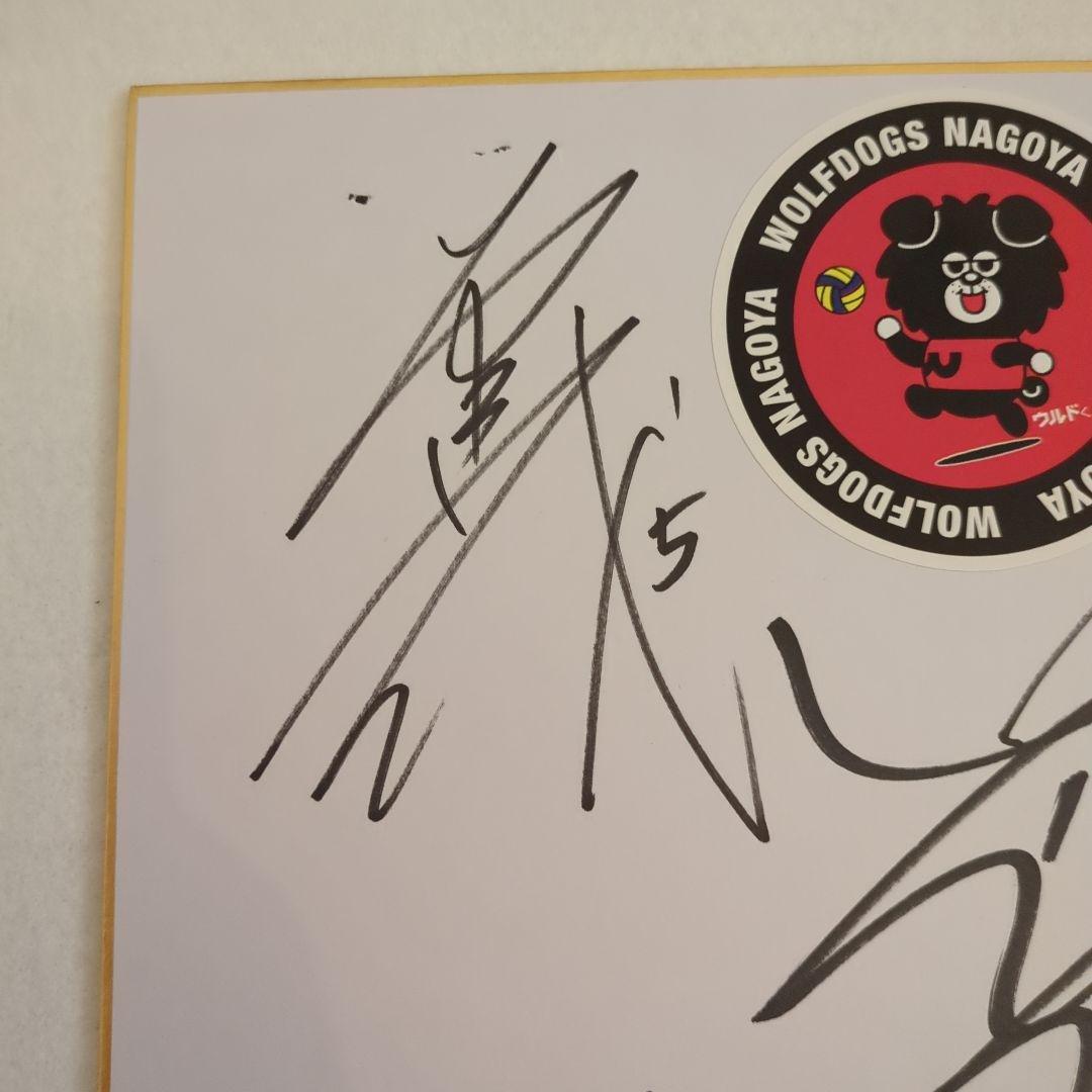 【激レア】ウルフドッグス名古屋　バレーボール選手　サイン色紙