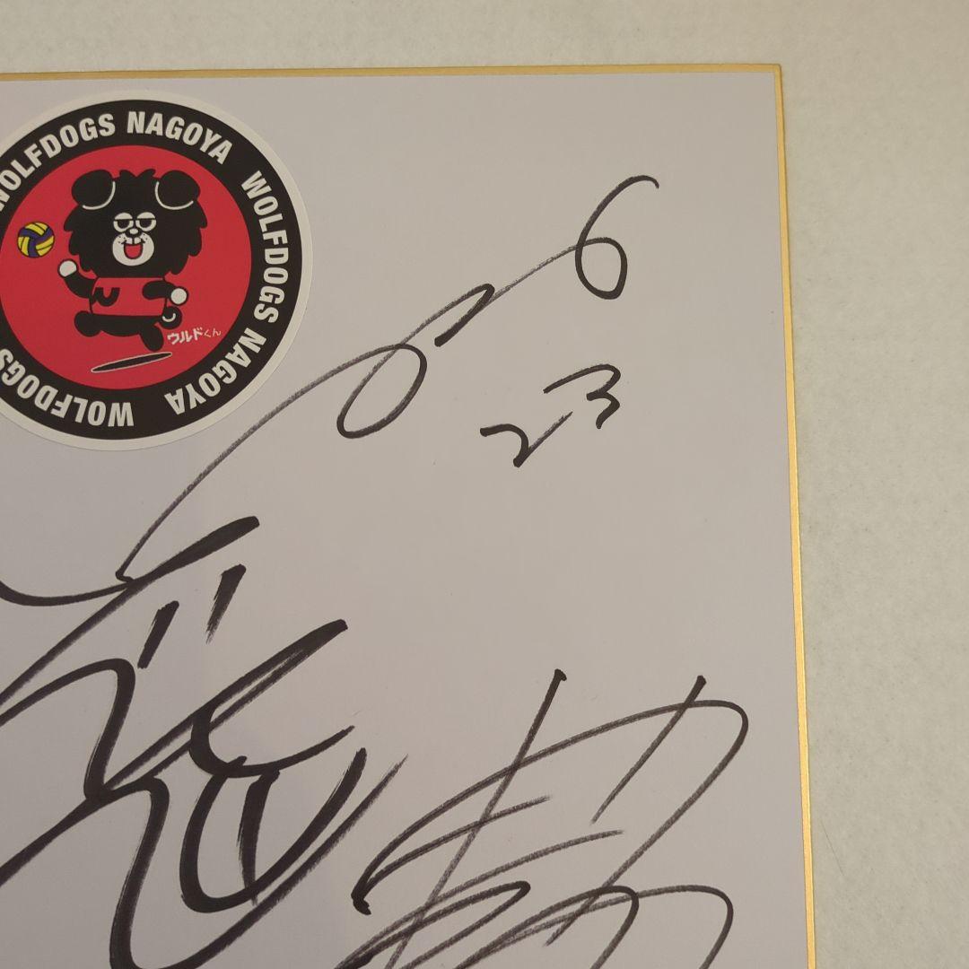 【激レア】ウルフドッグス名古屋　バレーボール選手　サイン色紙
