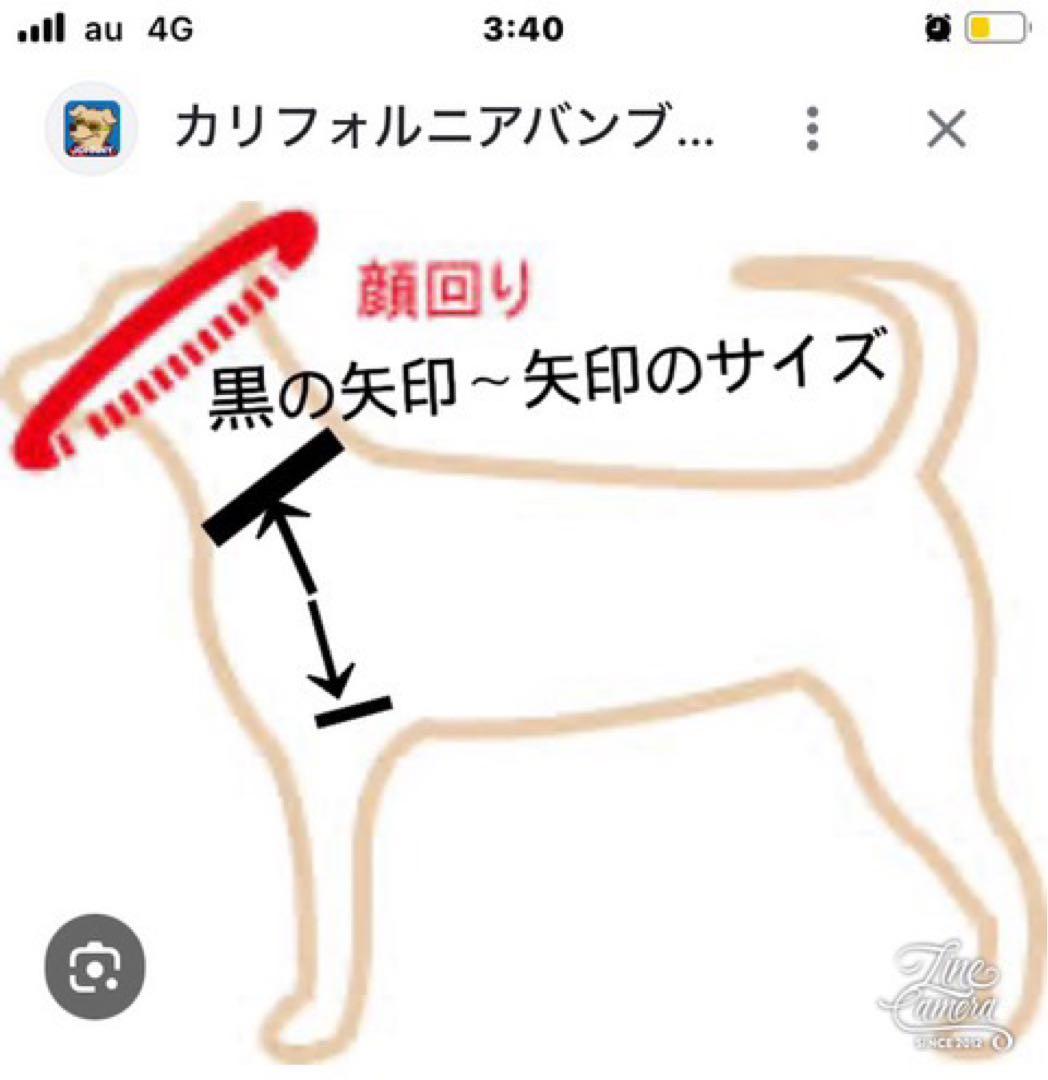 B403,pon2pan2☆オーダー☆犬お着物☆文化人形